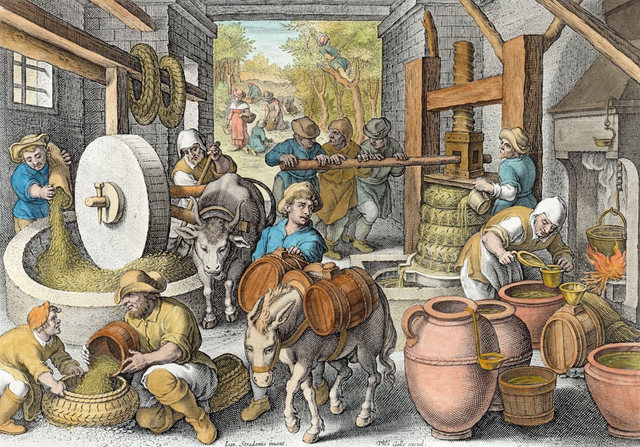Az olívaolaj előállítása, 13. tábla a "Nova Reperta" (Új felfedezések) című műből, metszette Philip Galle (1537-1612), 1600 körül (későbbi színezés). alkotó: Jan van der Straet