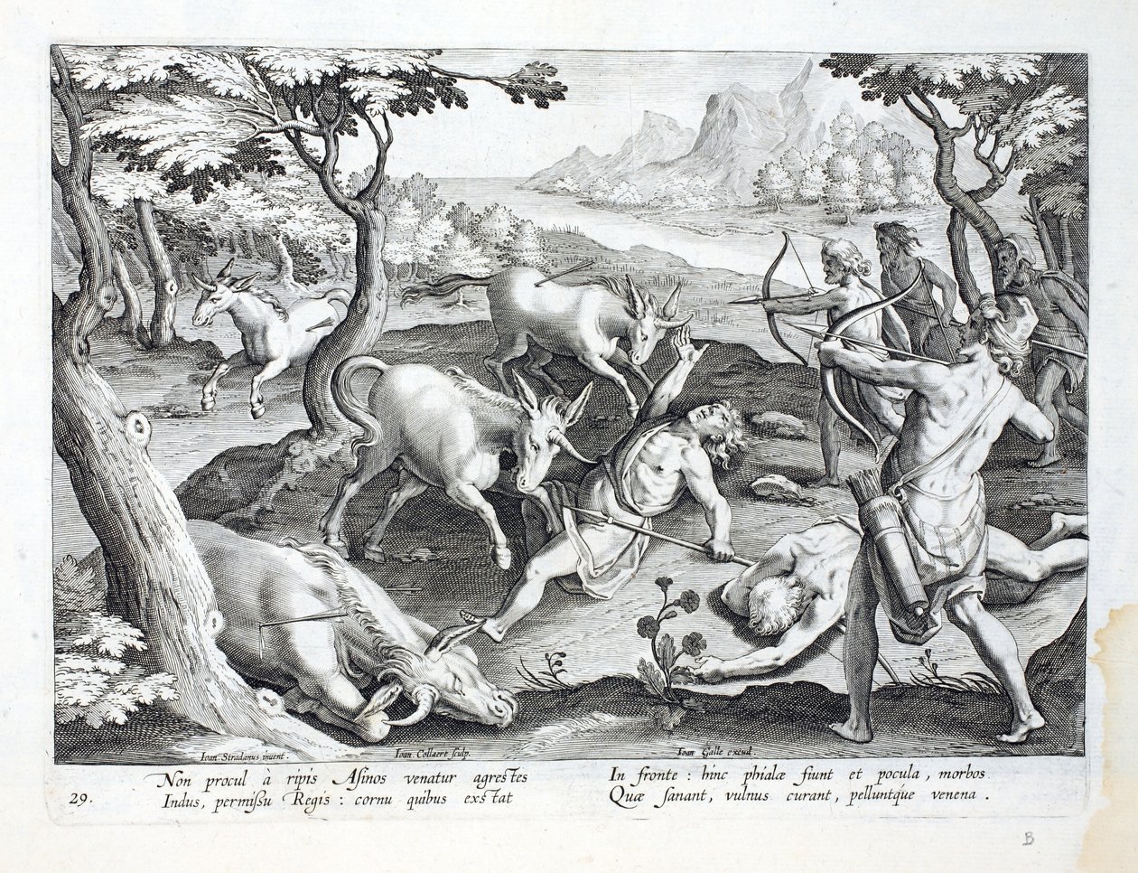 Egyszarvúak az Indus partján, a király engedélyével vadásznak, illusztráció a "Venationes, Ferarum, Avium, Piscium" (A vadászatról: vadállatok, madarak, halak) című könyvből, metszette Jan Collaert (1566-162). alkotó: Jan van der Straet