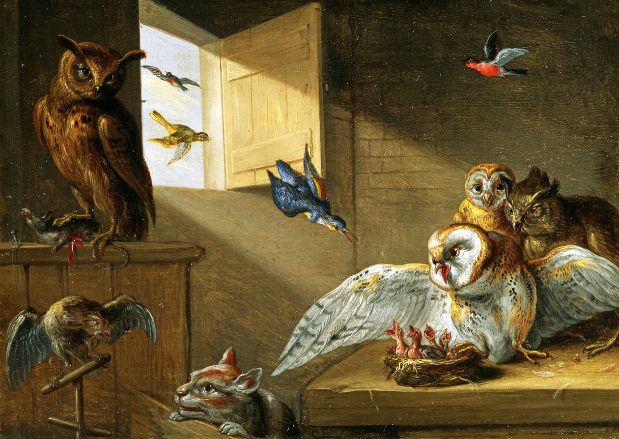 Baglyok családja, más madarak és egy macska (olaj, réz) alkotó: Jan van Kessel the Elder