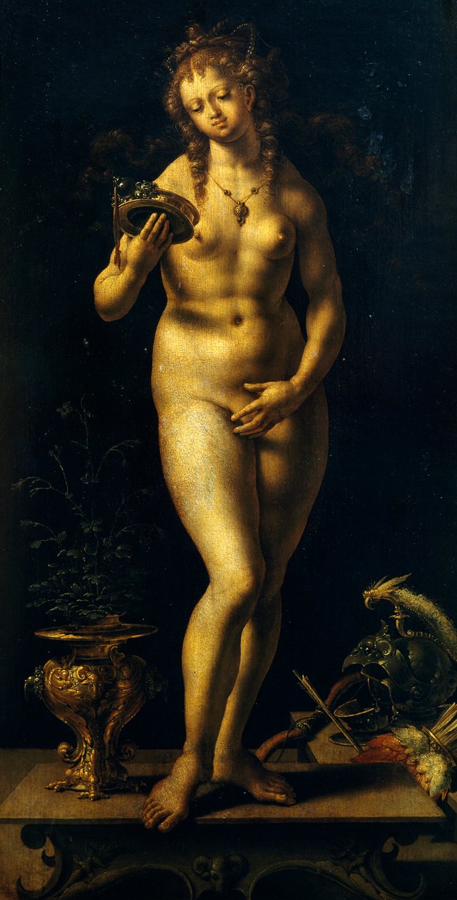 Vénusz (olaj a panelen) alkotó: Jan (c.1472 c.1533) Gossaert