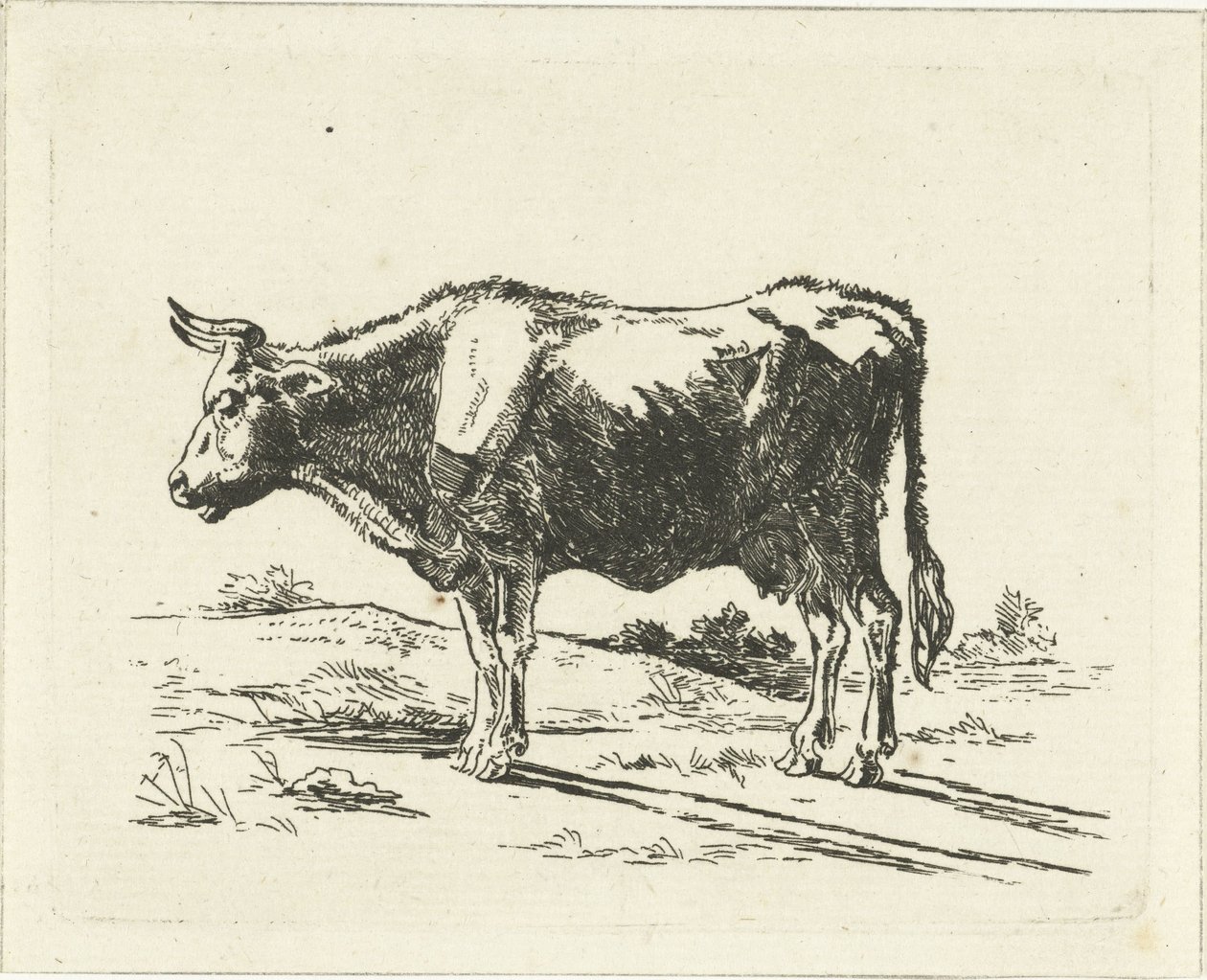 álló tehén alkotó: Jan Dasveldt
