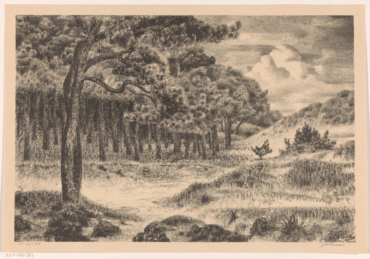 Erdő dombos tájon alkotó: Jan Fekkes (signed by artist)