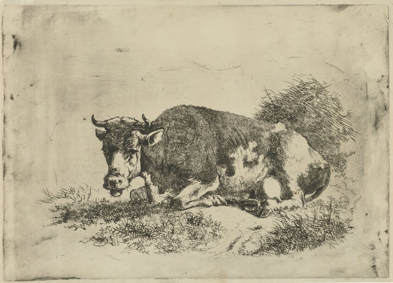Fekvő tehén alkotó: Jan Kobell (III)