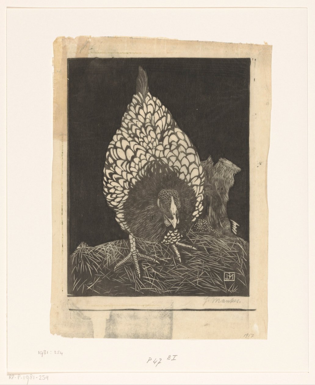 ezüst wyandotte alkotó: Jan Mankes (signed by artist)