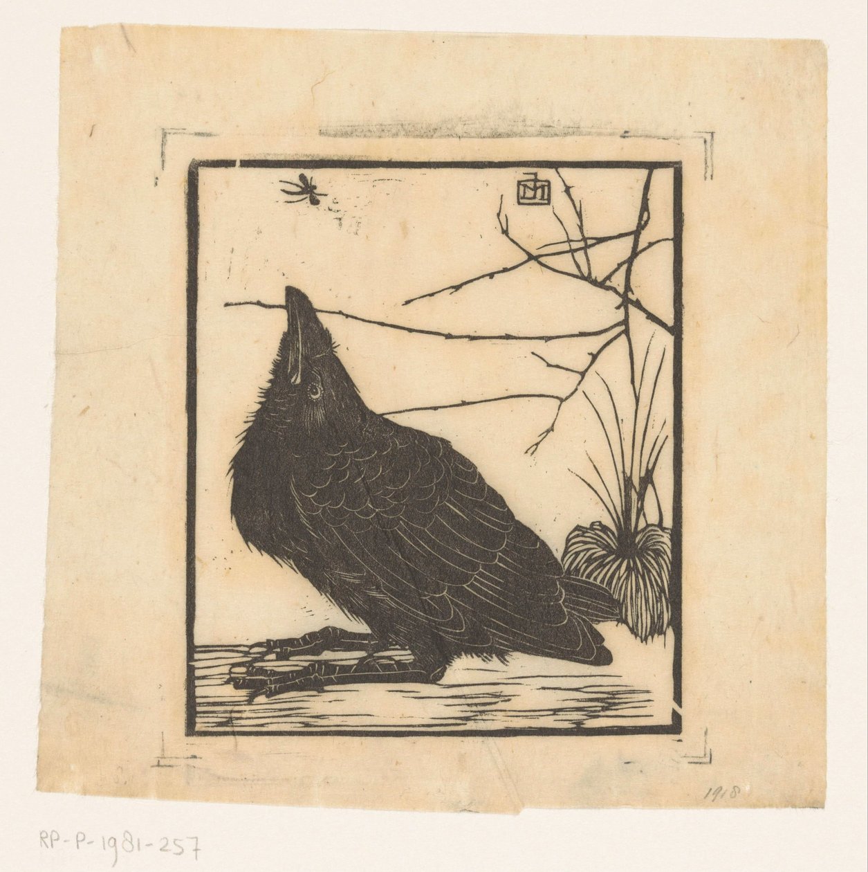 Crow, felnéz a szúnyogra alkotó: Jan Mankes