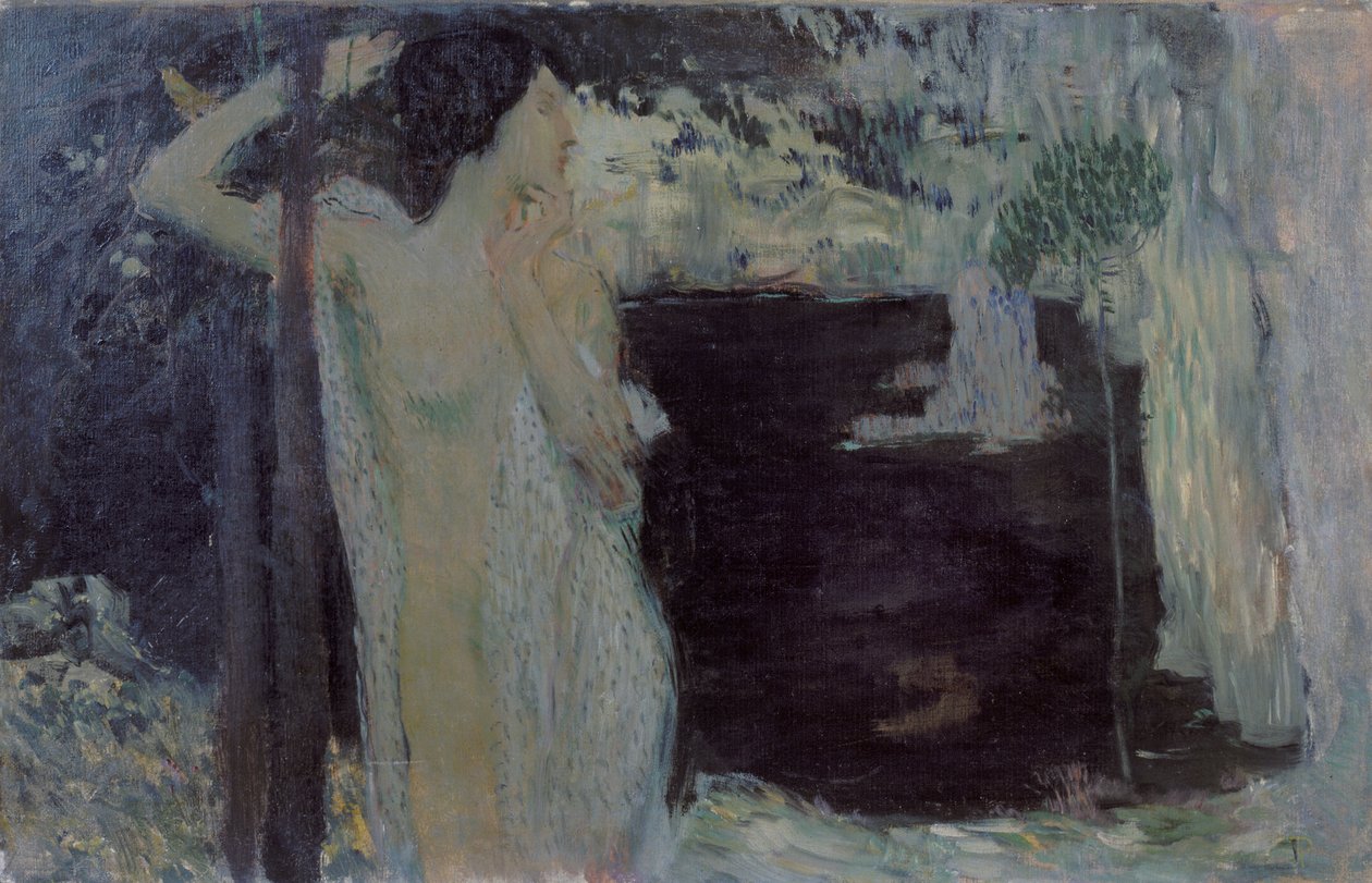 Nő a Fekete-tónál, 1904 alkotó: Jan Preisler