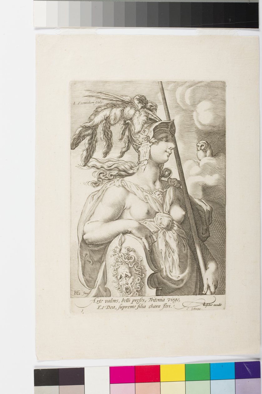 Minerva (metszet) alkotó: Jan Saenredam