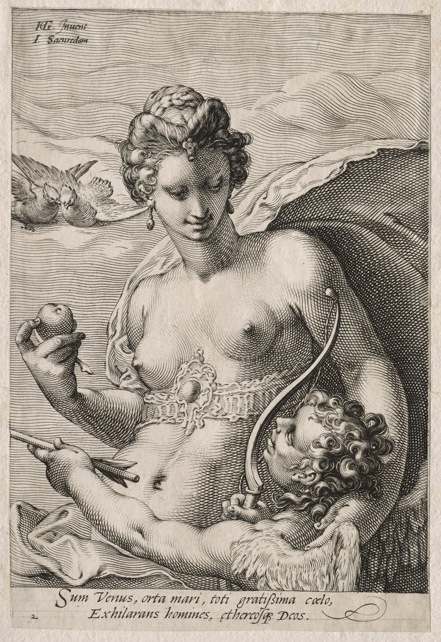 Vénusz és Ámor, c. 1595. alkotó: Jan Saenredam