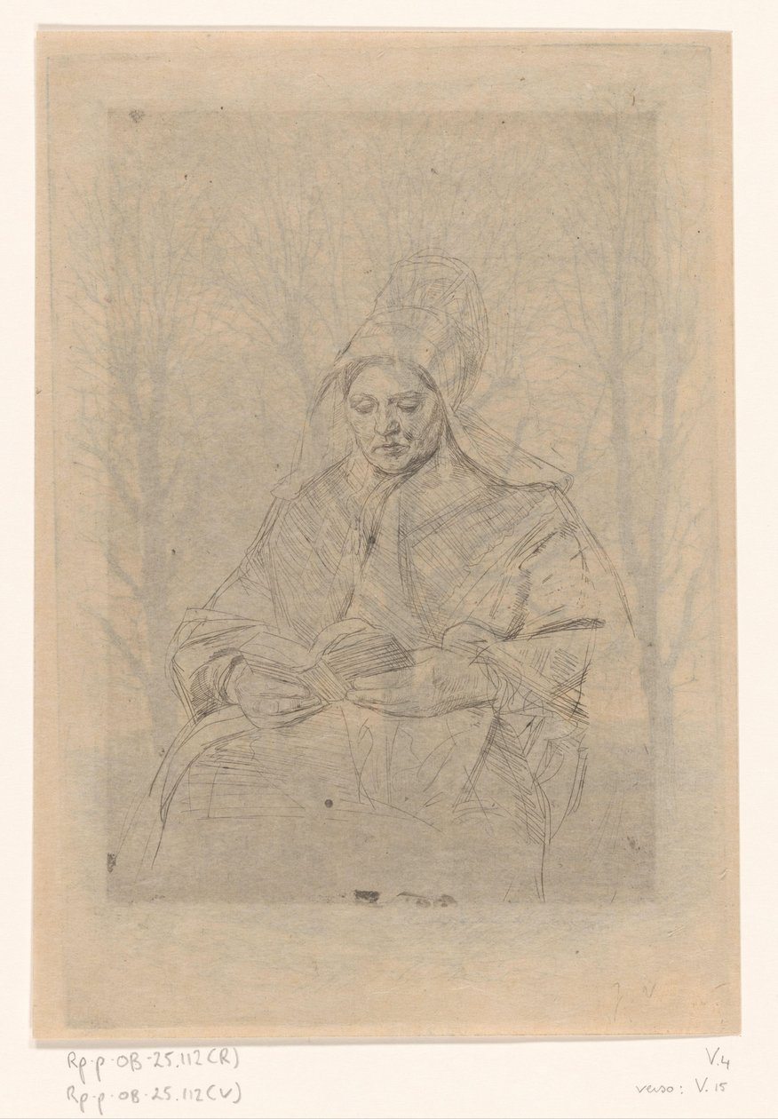 Olvasó gazda felesége alkotó: Jan Veth