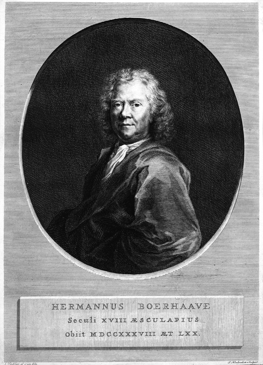 Herman Boerhaave, metszett Jacobus Houbraken alkotó: Jan Wandelaar