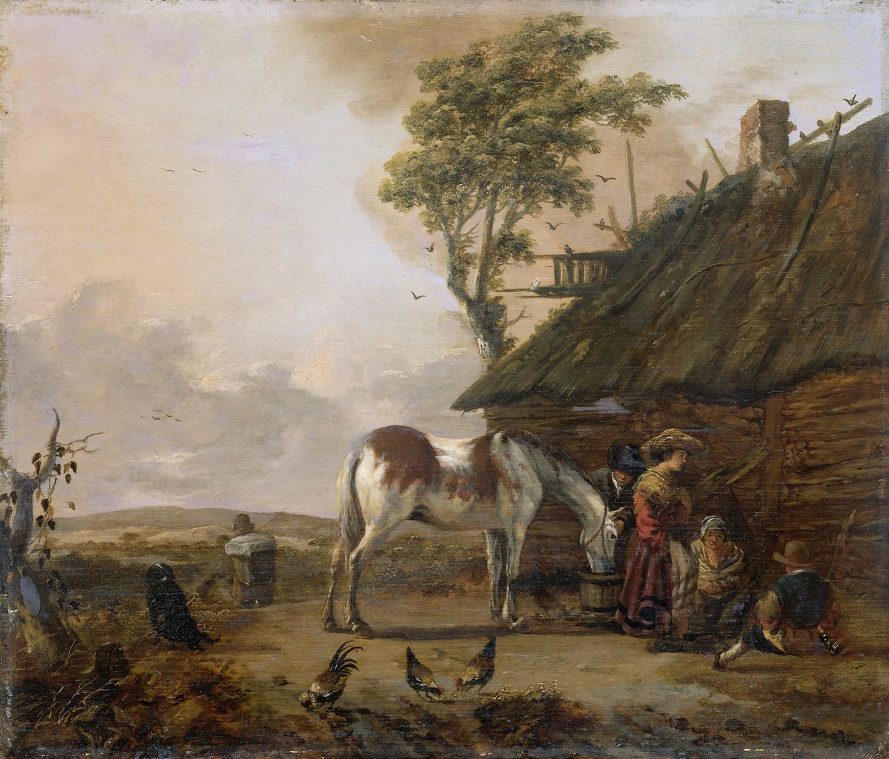 Egy Piebald ló alkotó: Jan Wouwerman