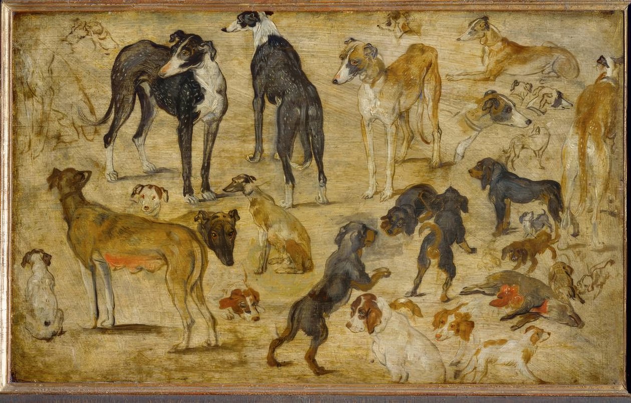 Tierstudien alkotó: Jan the Elder Brueghel