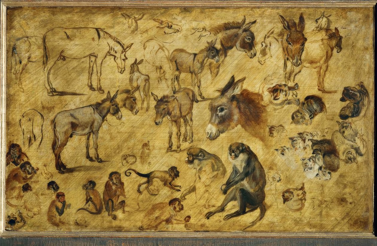 Tierstudien alkotó: Jan the Elder Brueghel