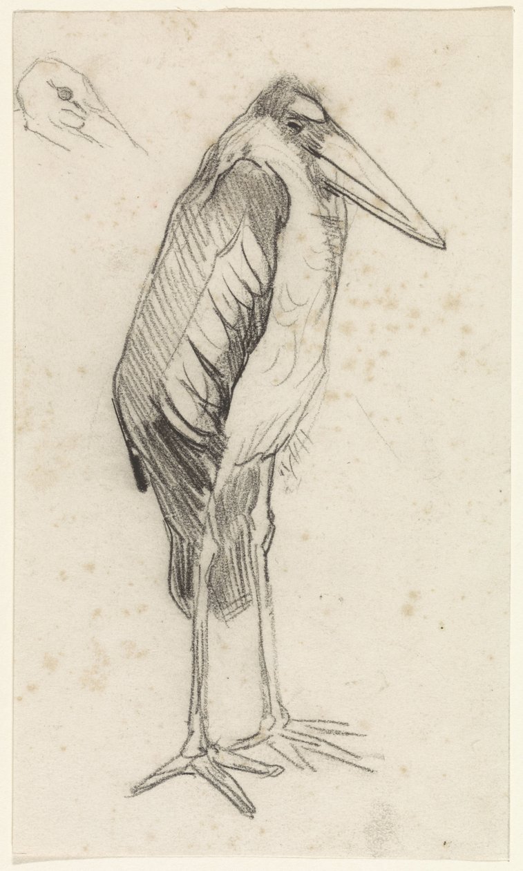 Marabu alkotó: Jan van Essen