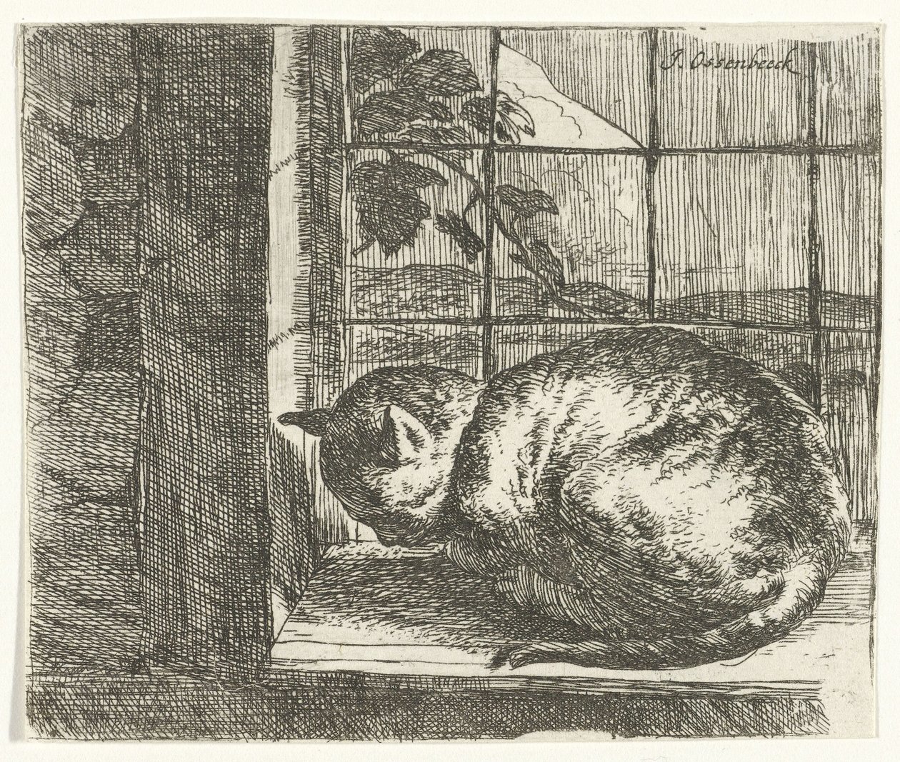 Macska az ablakkeretben alkotó: Jan van Ossenbeeck