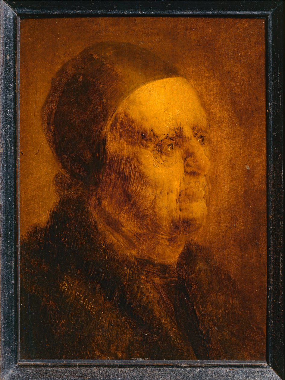 Az öregember dolgozószobájának feje ... alkotó: Jan van de Venne