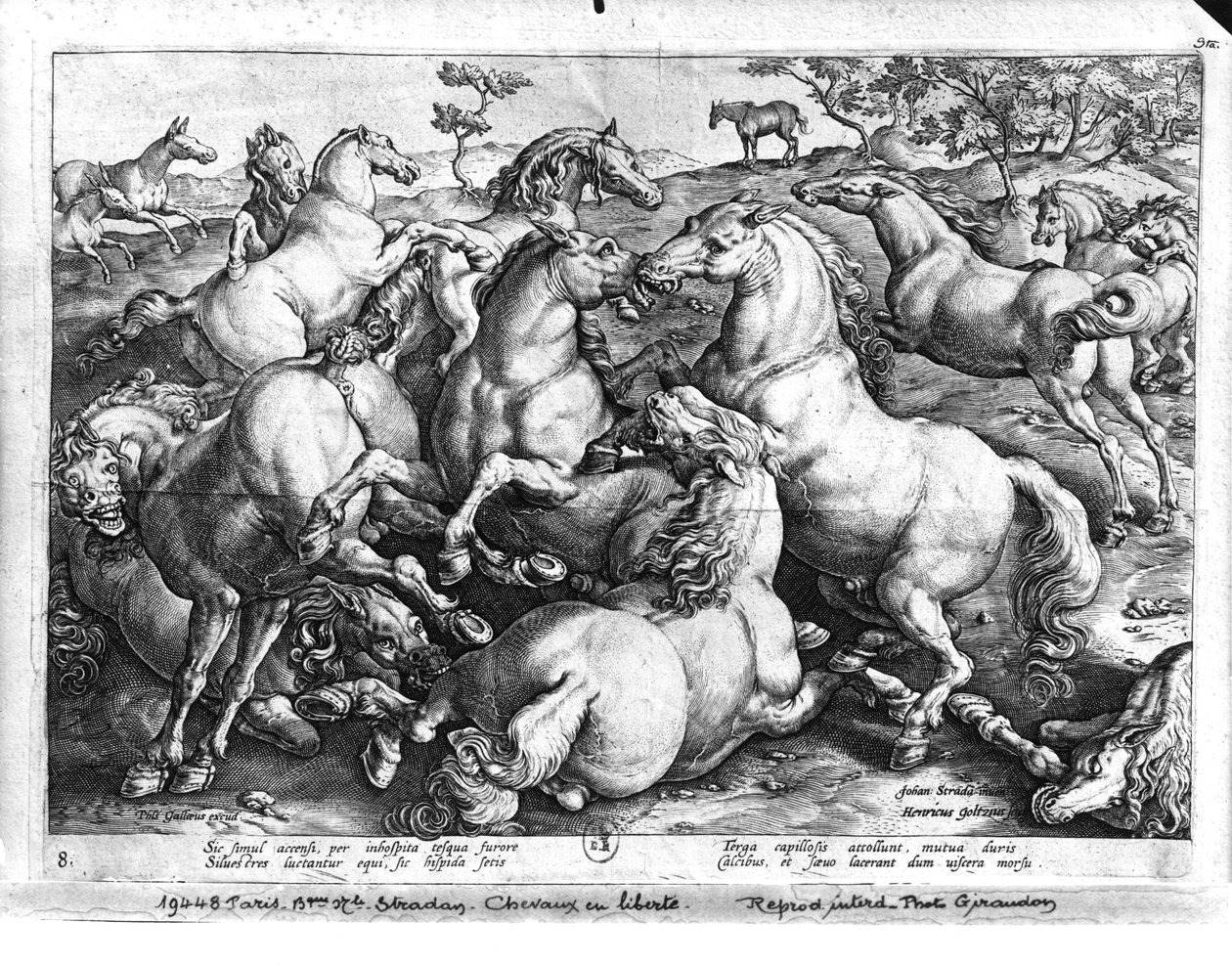 Lovak a vadonban alkotó: Jan van der Straet
