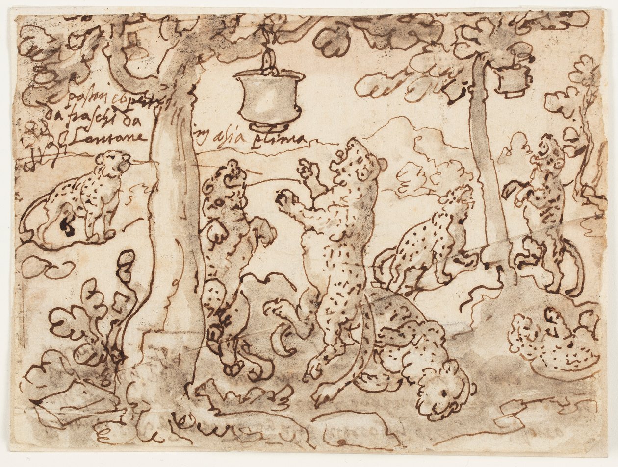 A Párduccsapda alkotó: Jan van der Straet, called Stradanus