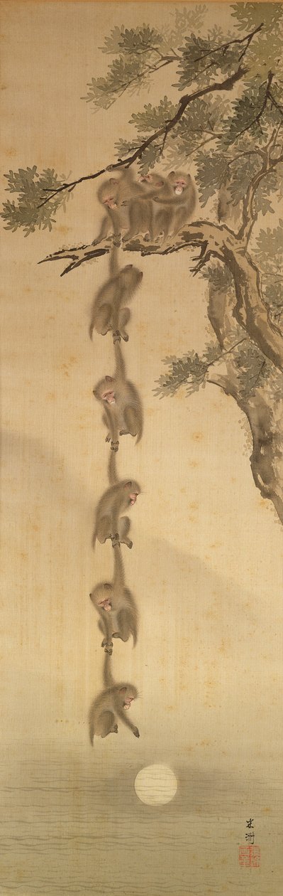 A Hold felé nyúló majmok, Edo-korszak (1603-1867) (tinta papíron) alkotó: Japanese School