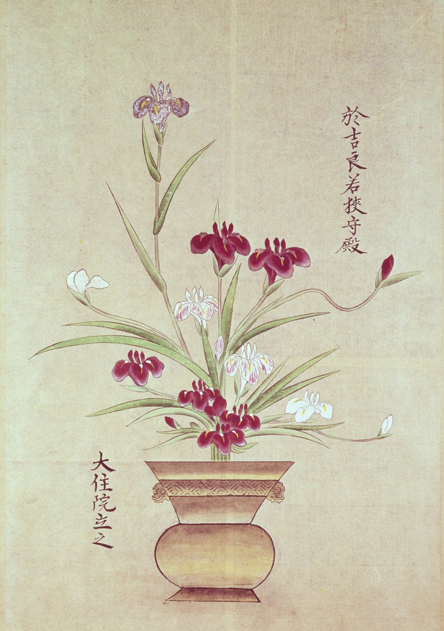 Orchideák alkotó: Japanese School