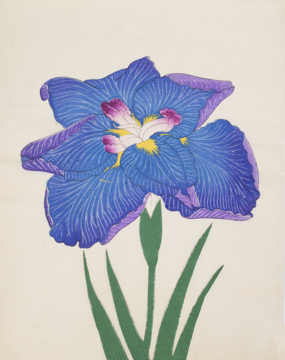 Azumabotan, No. 89, 1890 (színes fatömbnyomat) alkotó: Japanese School