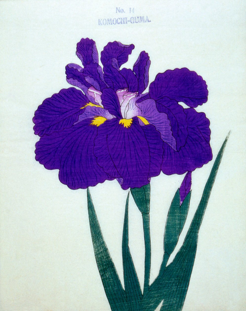 Szülős medve. 1898. 14 alkotó: Japanese School