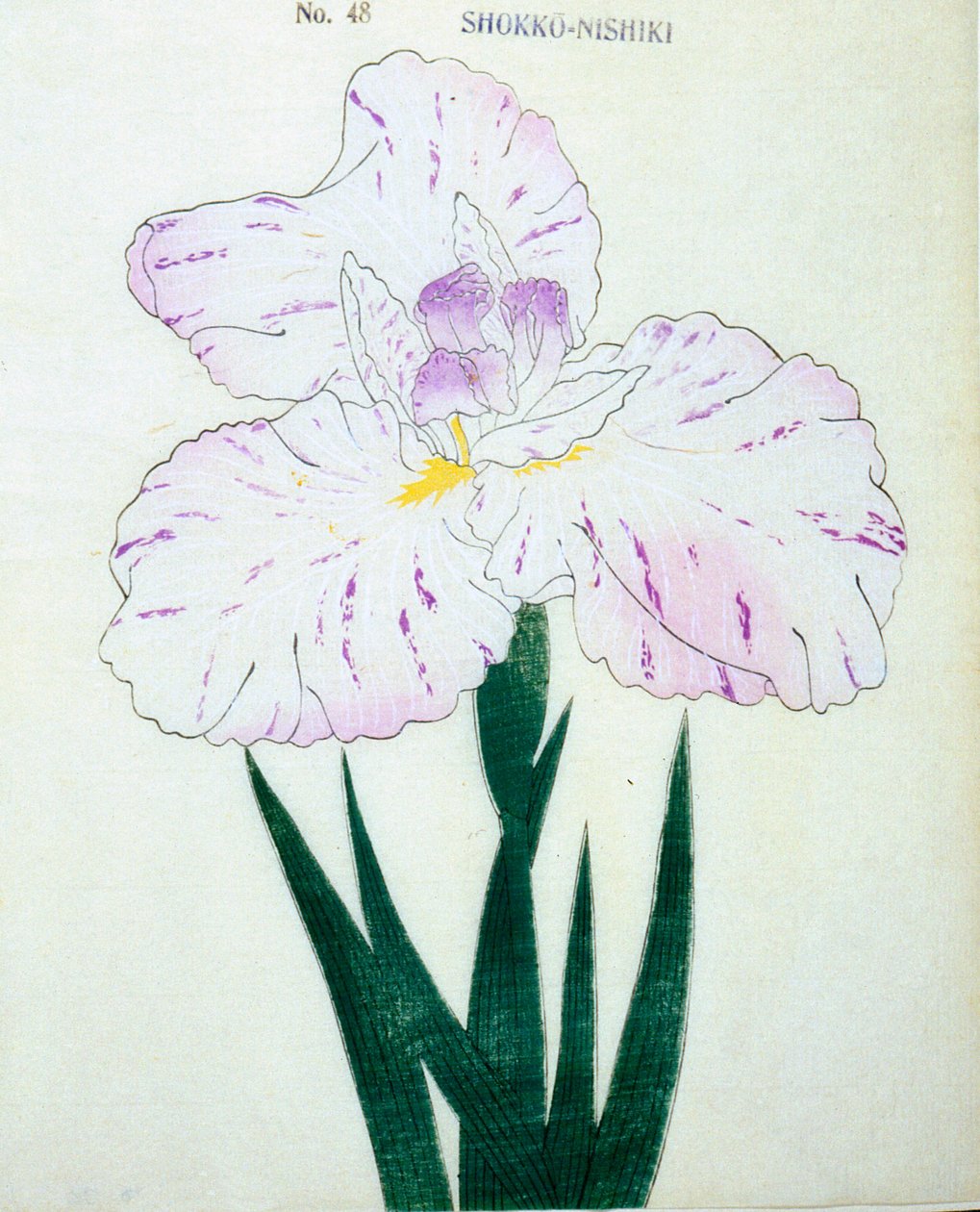 Shokko Nishiki, a. 48, 1898 alkotó: Japanese School