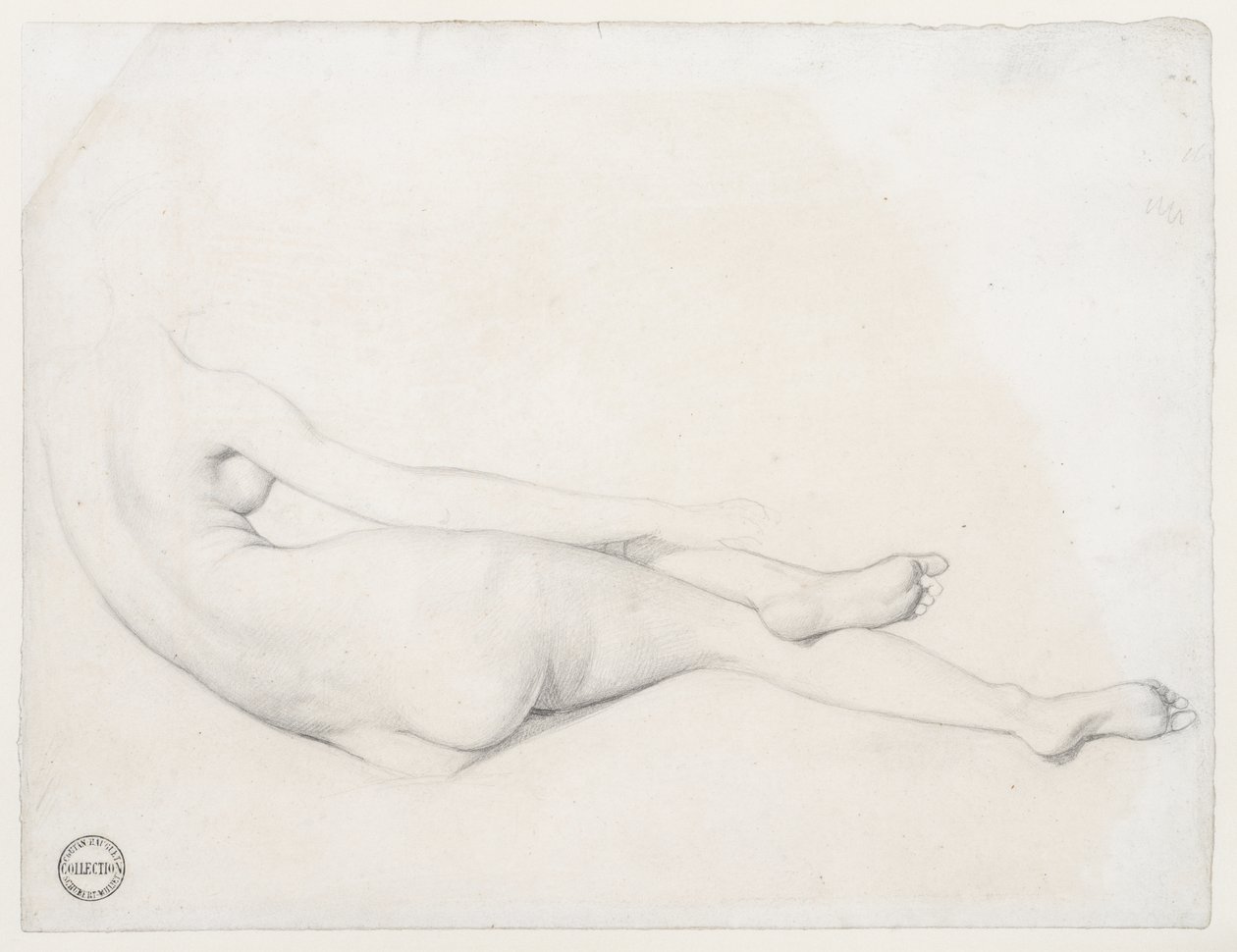 Tanulmány a La Grande Odalisque számára, 1814 (grafit szőtt papíron) alkotó: Jean Auguste Dominique Ingres