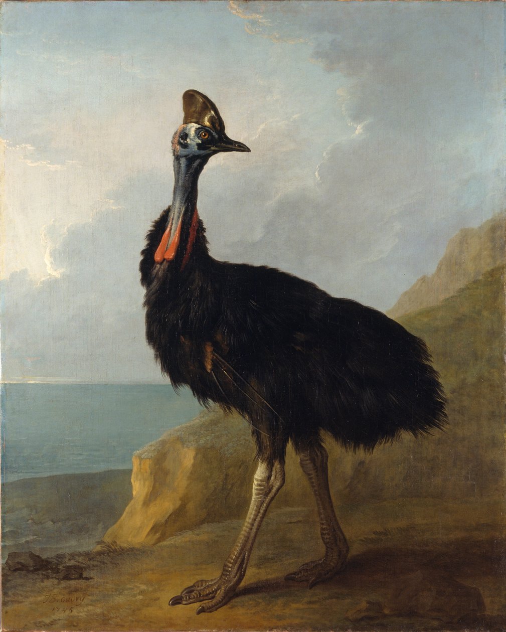 Kazuár alkotó: Jean Baptiste Oudry