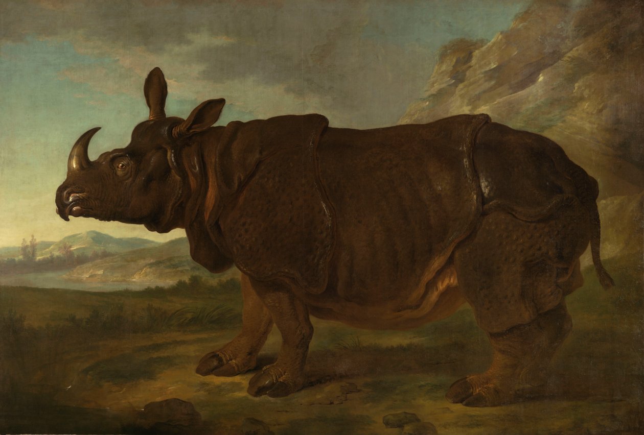 Az orrszarvú Klára Párizsban 1749 -ben alkotó: Jean Baptiste Oudry