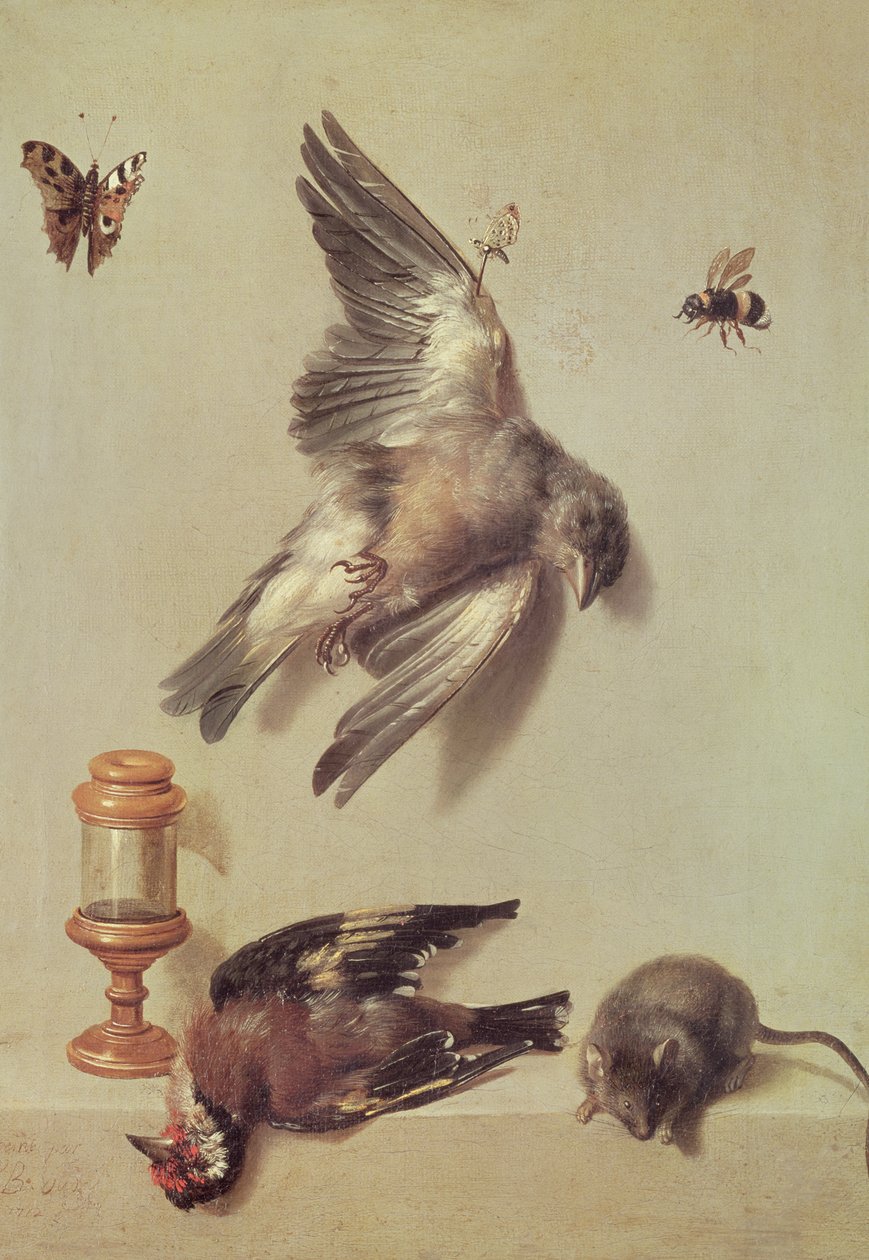 Döglött madarak és egy egér csendélete, 1712 alkotó: Jean Baptiste Oudry