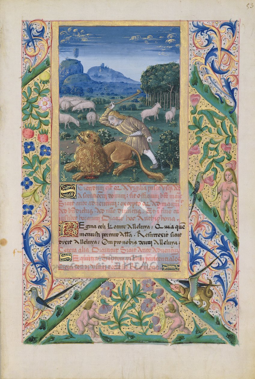 Ms Lat. Q.v.I.126 f.53 Dávid apja juhait védi egy oroszlán ellen, „Louis d