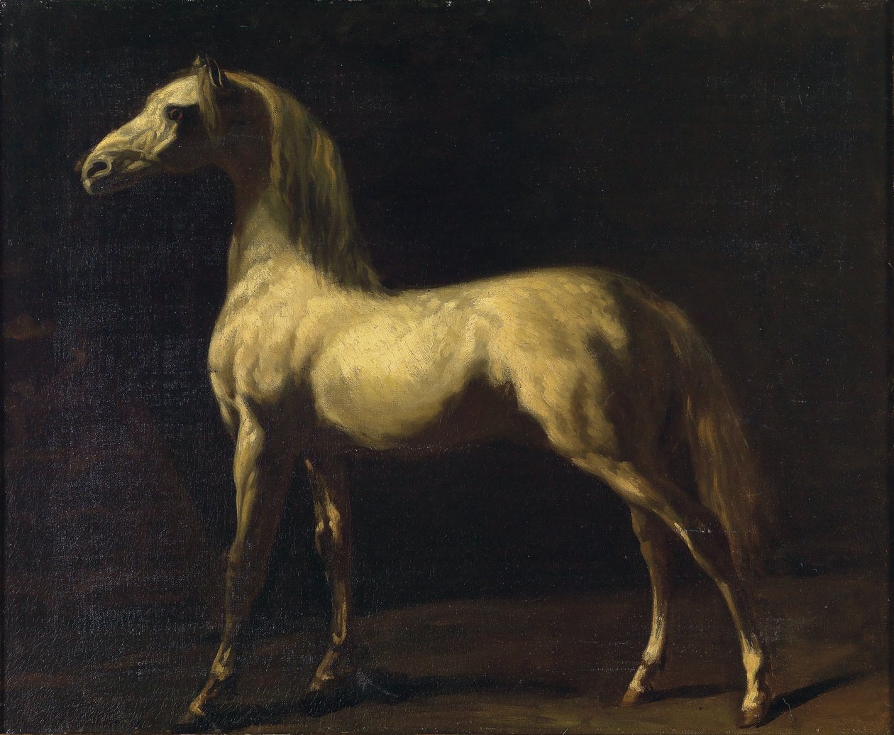 Egy álló ló alkotó: Theodore Gericault