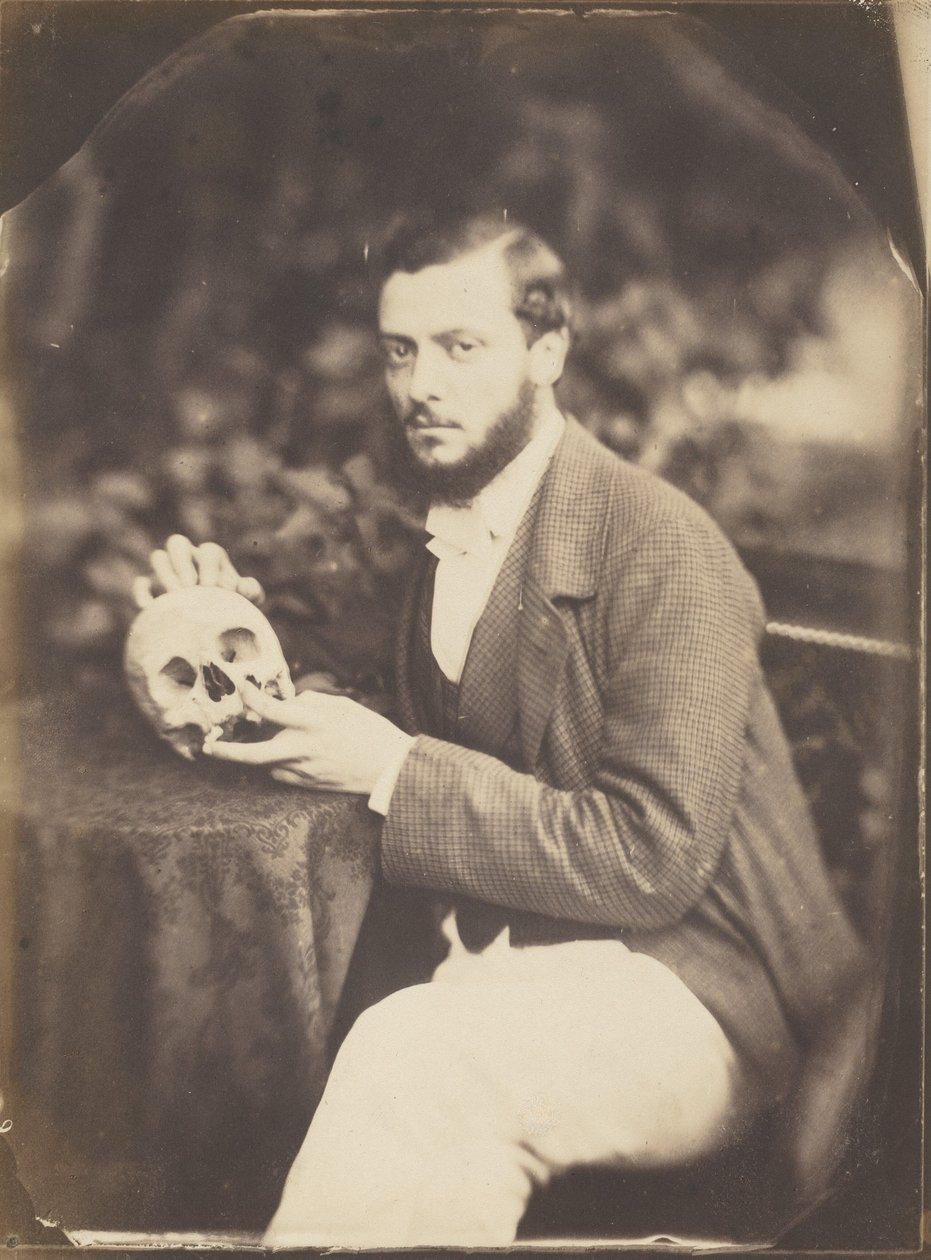 A Vanitas, c. 1856 (fotó) alkotó: Jean Baptiste Frénet