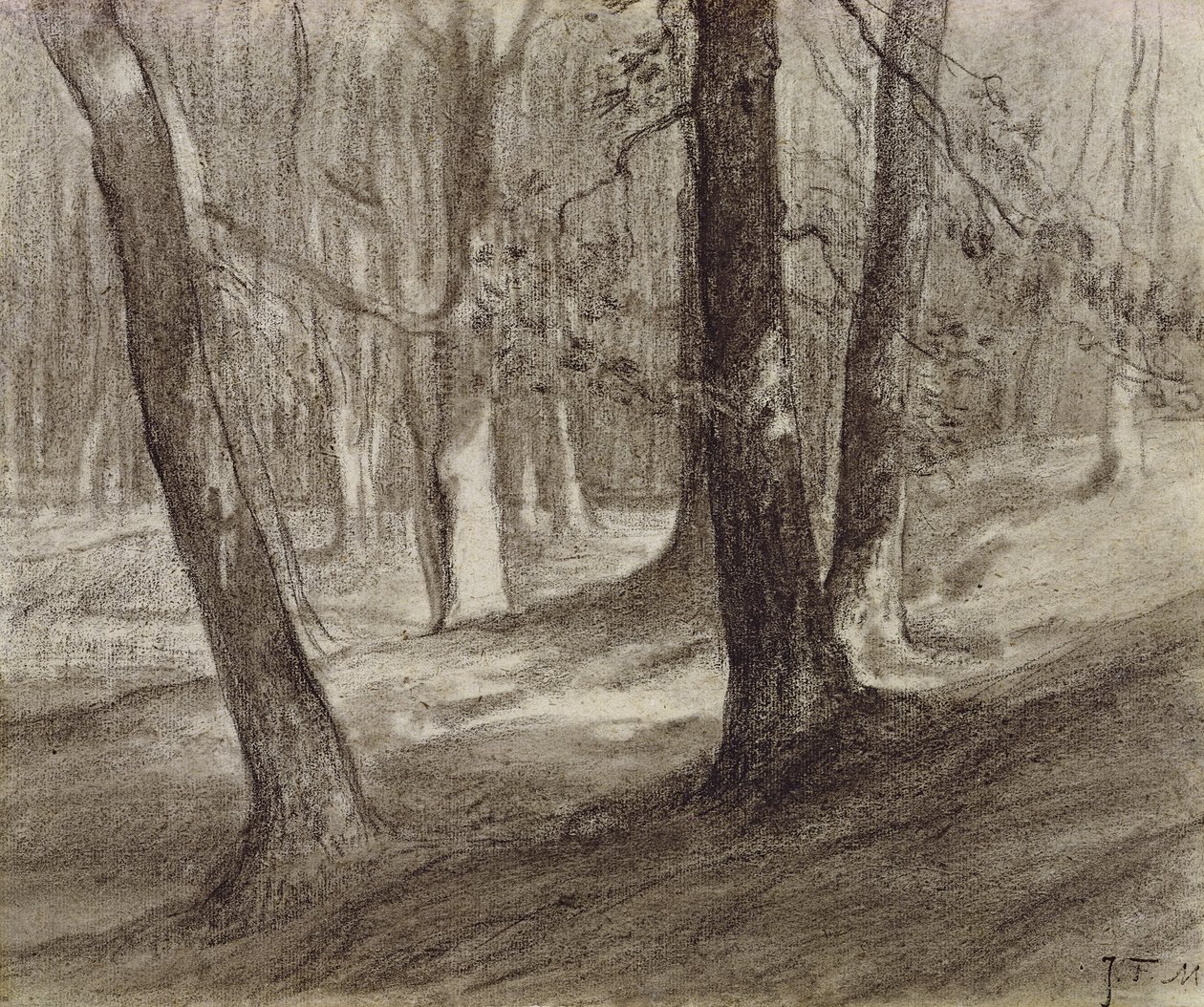 Fák az erdőben (faszén) alkotó: Jean Francois Millet
