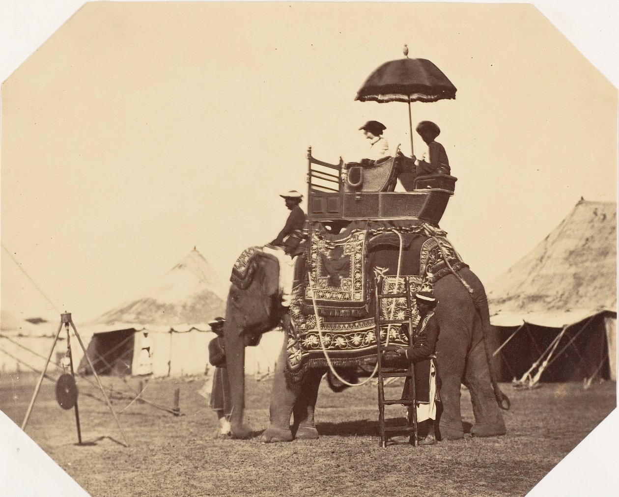 [Lady Canning], 1858-61. alkotó: Jean Baptiste Oscar Mallitte