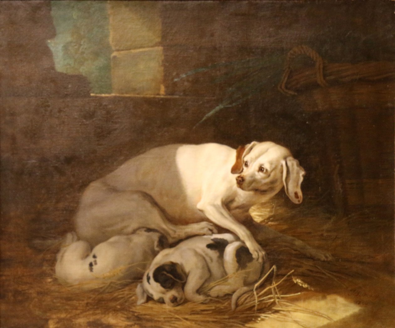 Kutya szopja a kölykeit. alkotó: Jean Baptiste Oudry