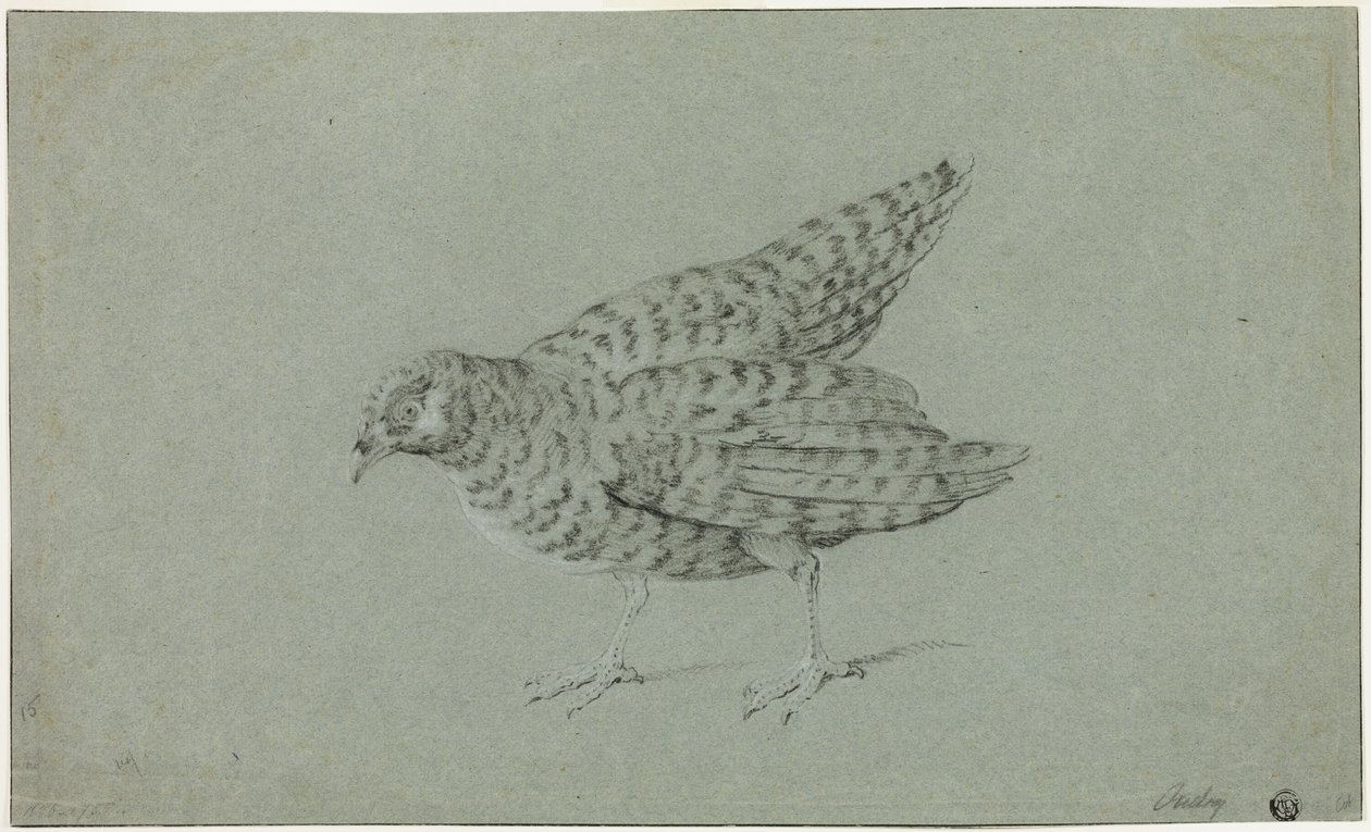 Partridge alkotó: Jean Baptiste Oudry