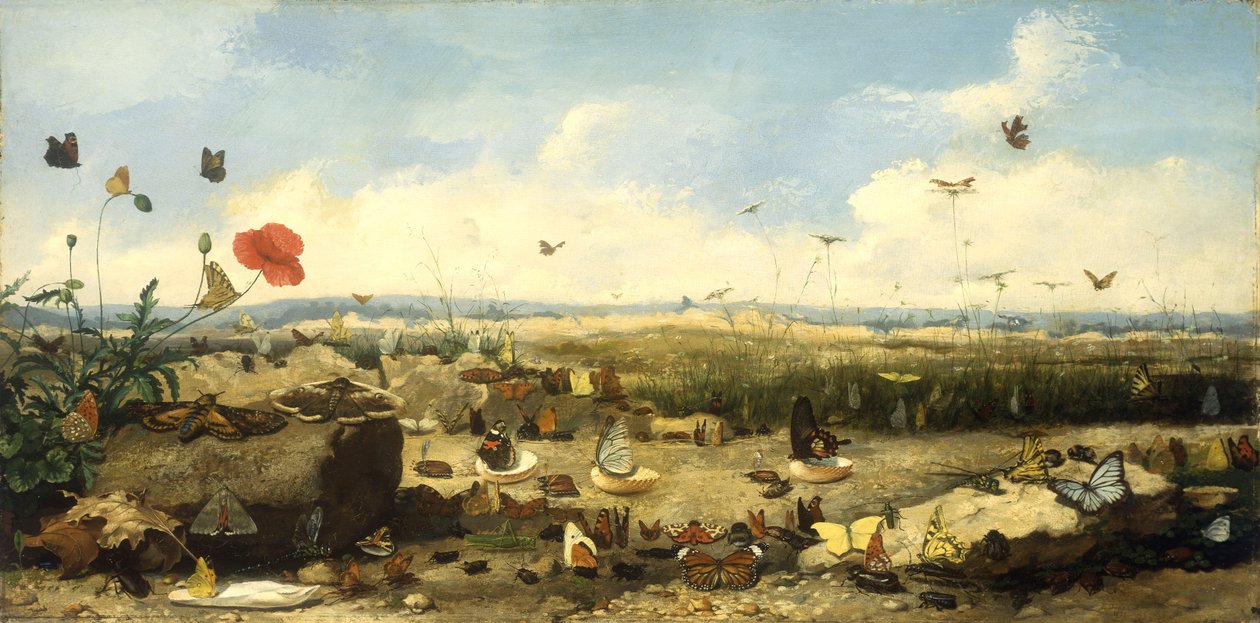 A pillangók versenye, 1872 alkotó: Jean Eugene Doneaud