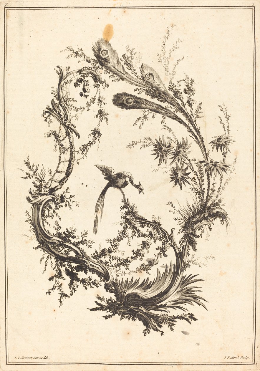 Dísz pávával. alkotó: Jean Jacques Avril
