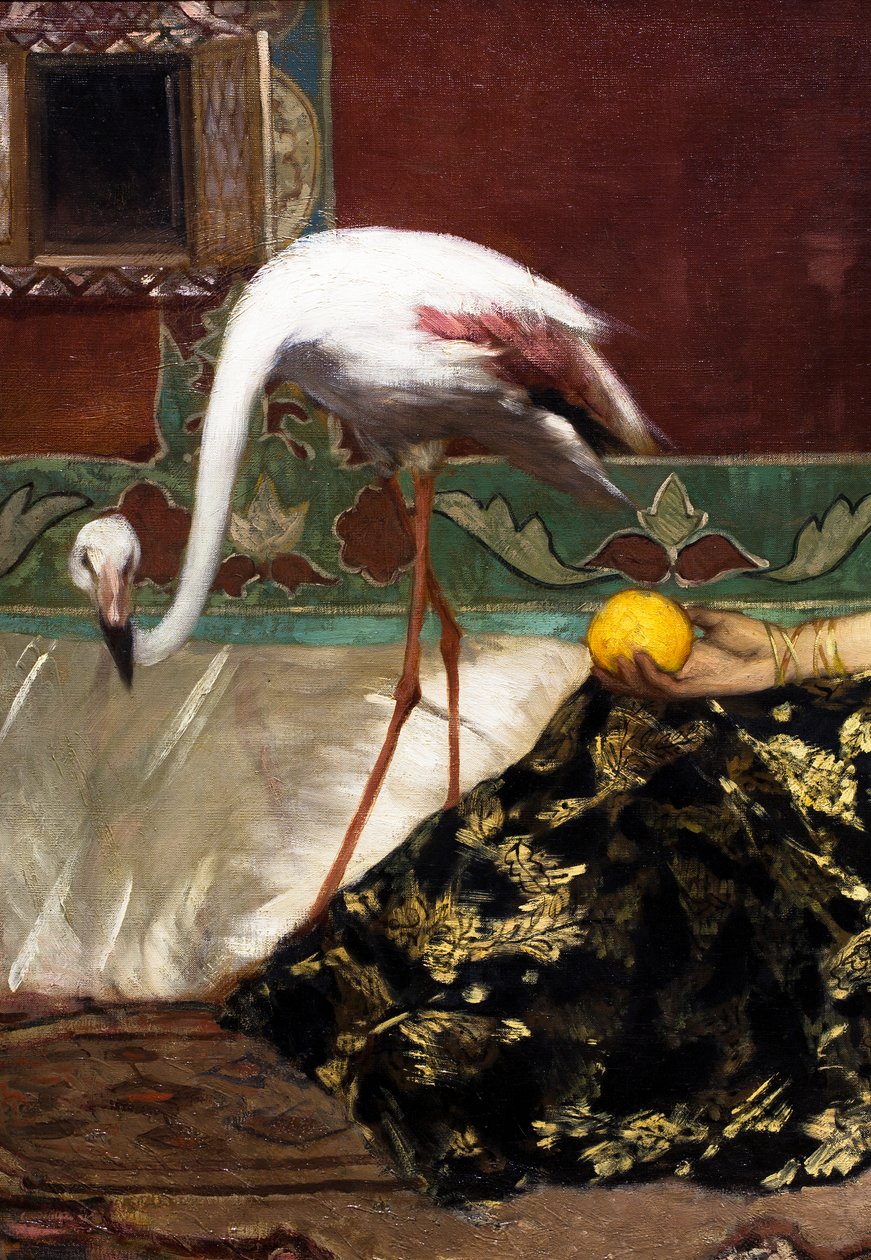 A rózsaszín flamingó (részlet) alkotó: Jean Joseph Benjamin Constant