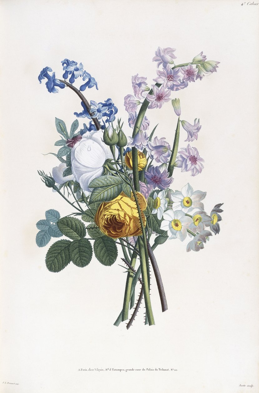 Nárcisz, Rosa, Jácint, 1805 alkotó: Jean Louis Prevost