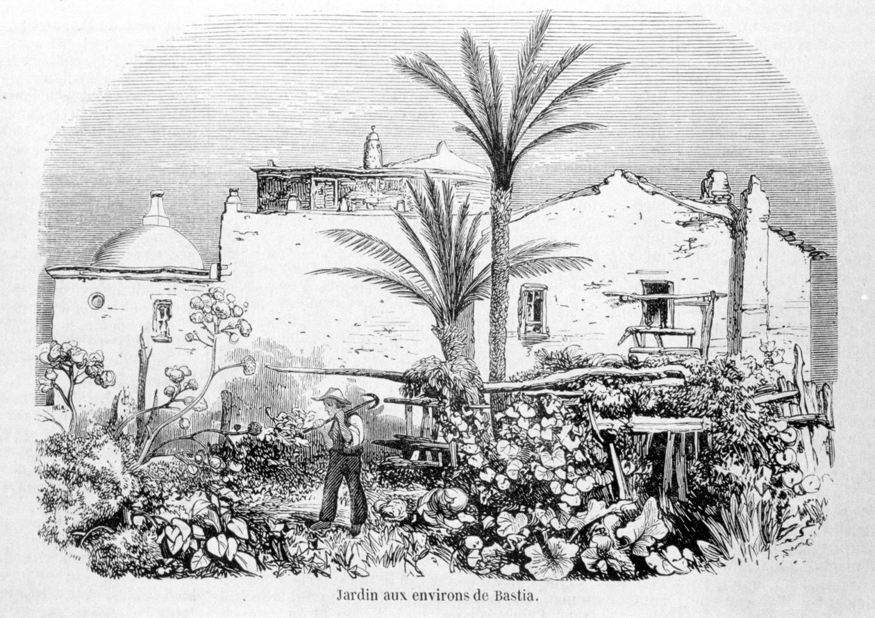 Bastia körüli kertek. Laurens metszete. alkotó: Jean Paul Laurens