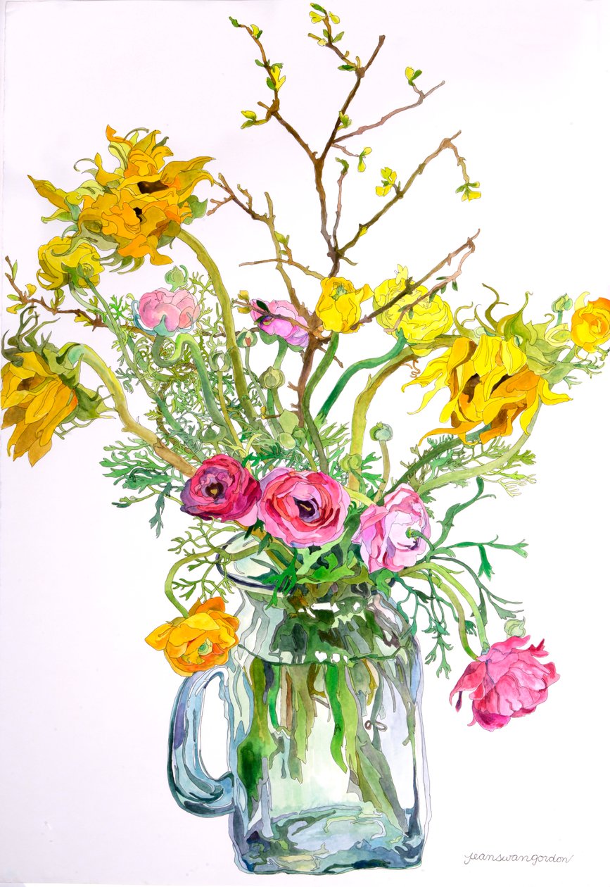 Napraforgó Ranunculus alkotó: Jean Swan Gordon