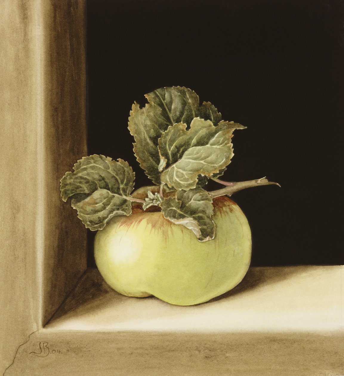 Apple (wc papíron) alkotó: Jenny Barron