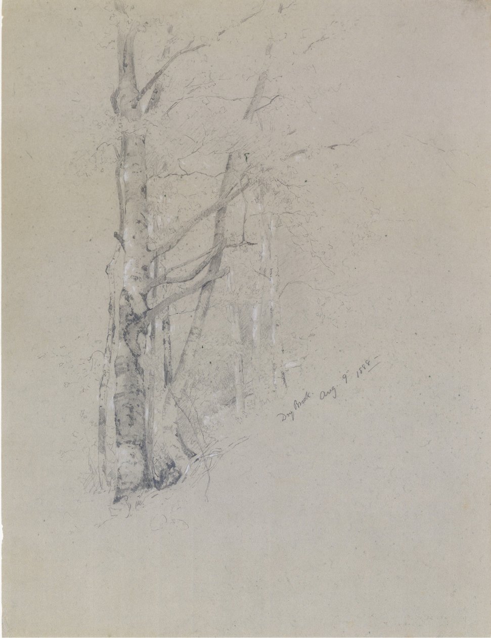 Dry Brook, 1888. alkotó: Jervis McEntee