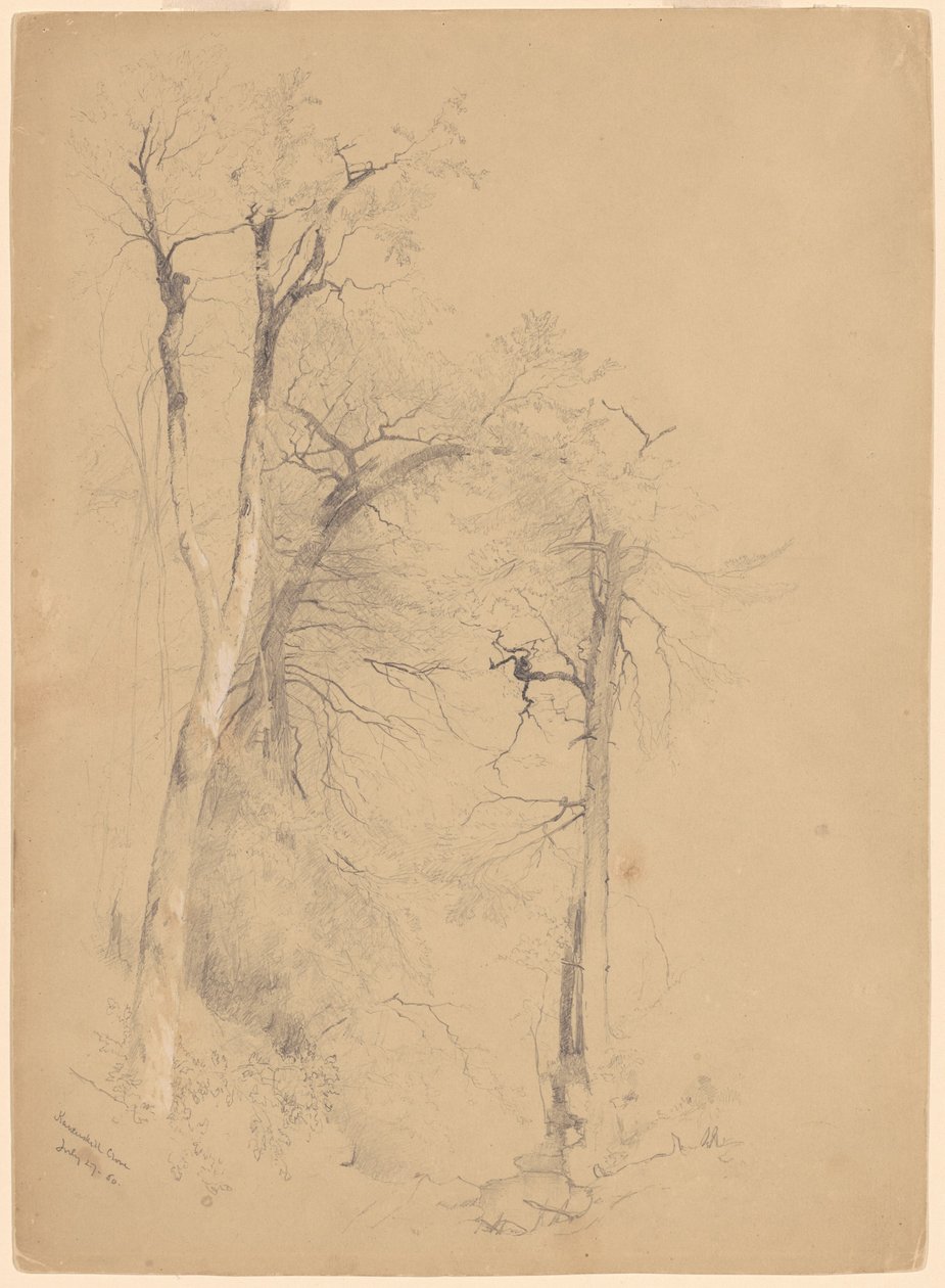 Kaaterskill szegfűszeg alkotó: Jervis McEntee