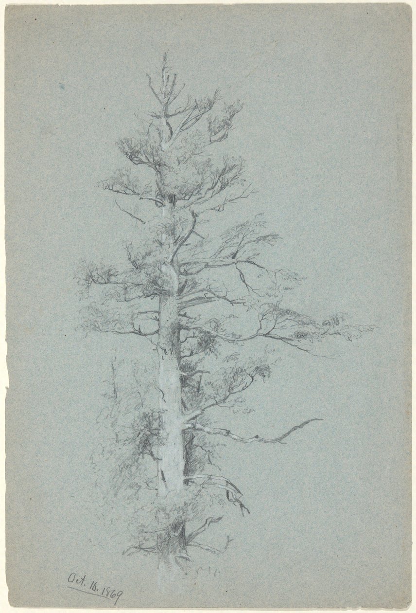 Fa tanulmány alkotó: Jervis McEntee