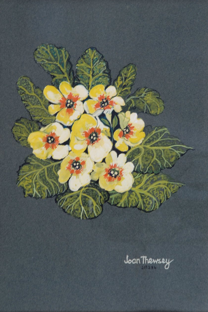 The Yellow Primrose 2012 (gouache ingres papíron) alkotó: Joan Thewsey
