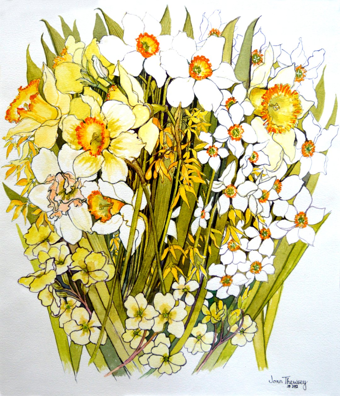 Nárciszok, Nárcisz, Forsythia és Primroses, 2000 alkotó: Joan Thewsey